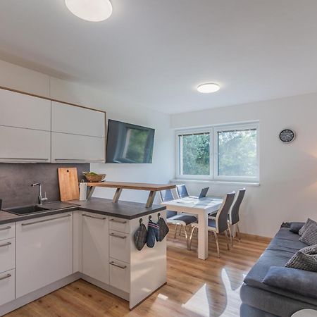 Apartman Černá v Pošumaví Zewnętrze zdjęcie